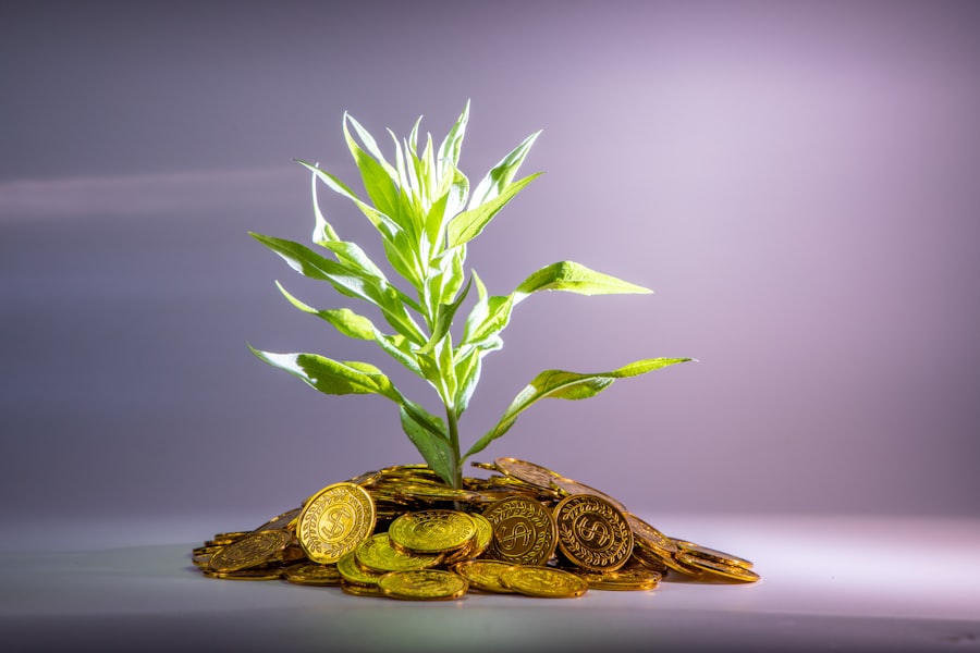 Investment portfolio