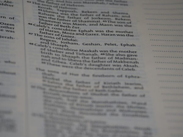 Decoding Insurance Policies: A Beginner’s Guide