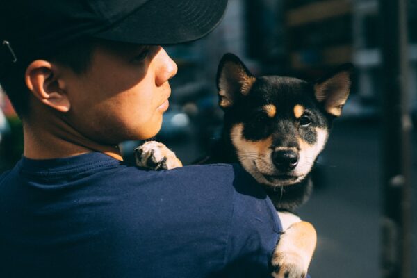 Is Pet Insurance Worth the Monthly Cost?